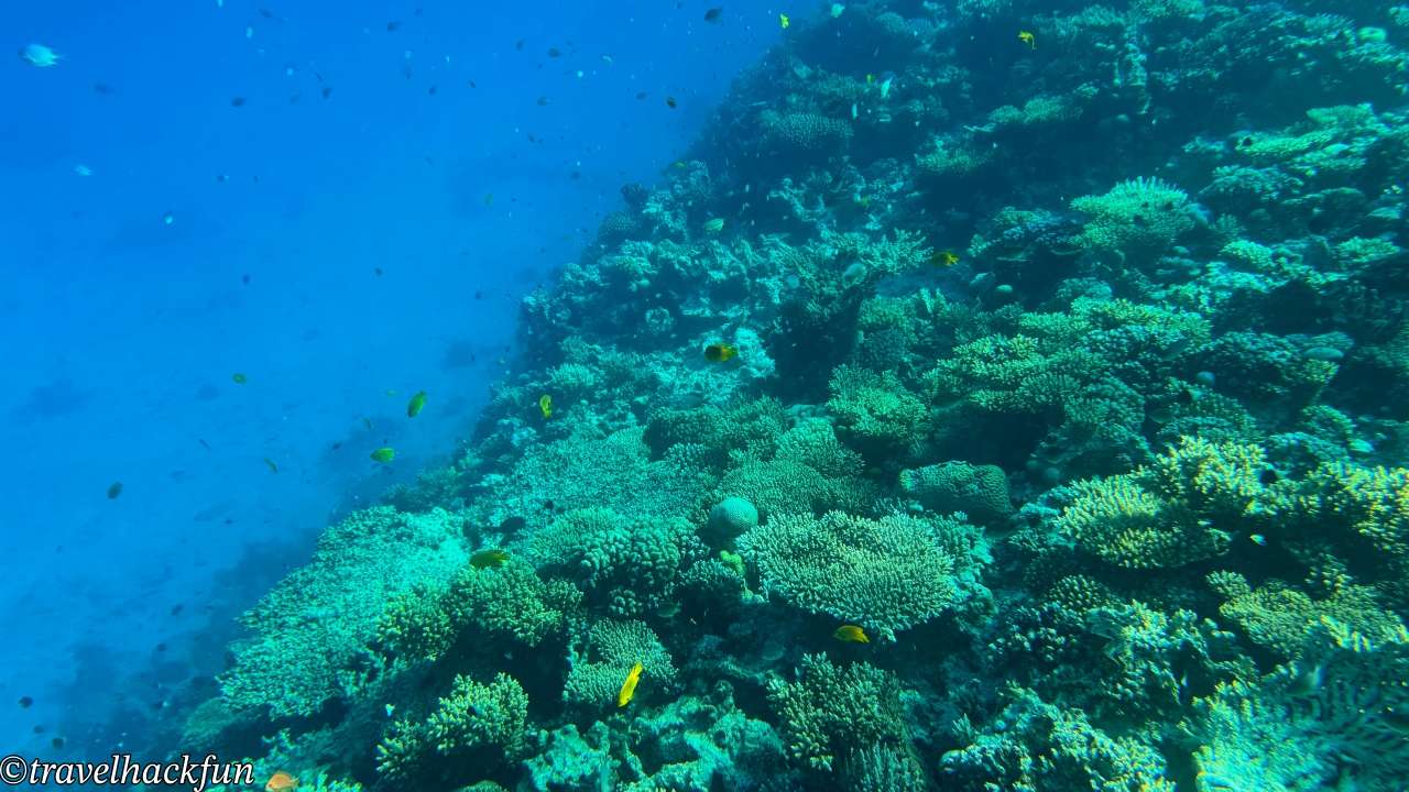 【埃及旅遊】紅海度假勝地 Hurghada 赫爾格達潛水浮潛自由行攻略 30 Hurghada,紅海,赫爾格達 29
