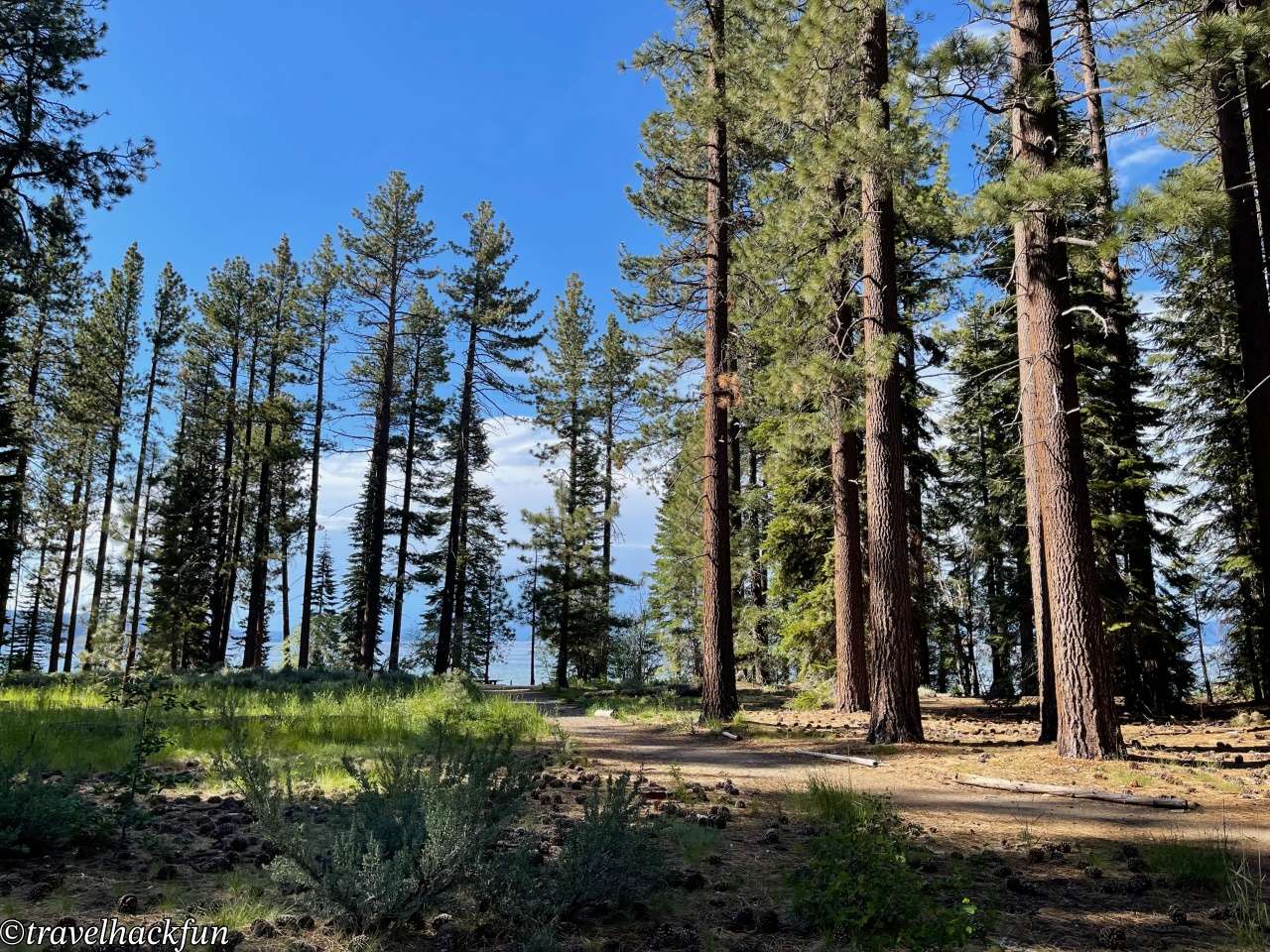 【South Lake Tahoe Scenic Spot】Tallac Historic Site | Lake Tahoe South Shore Centennial Manor Pope・Baldwin・Valhalla Full Analysis 24 tallac historic site 23