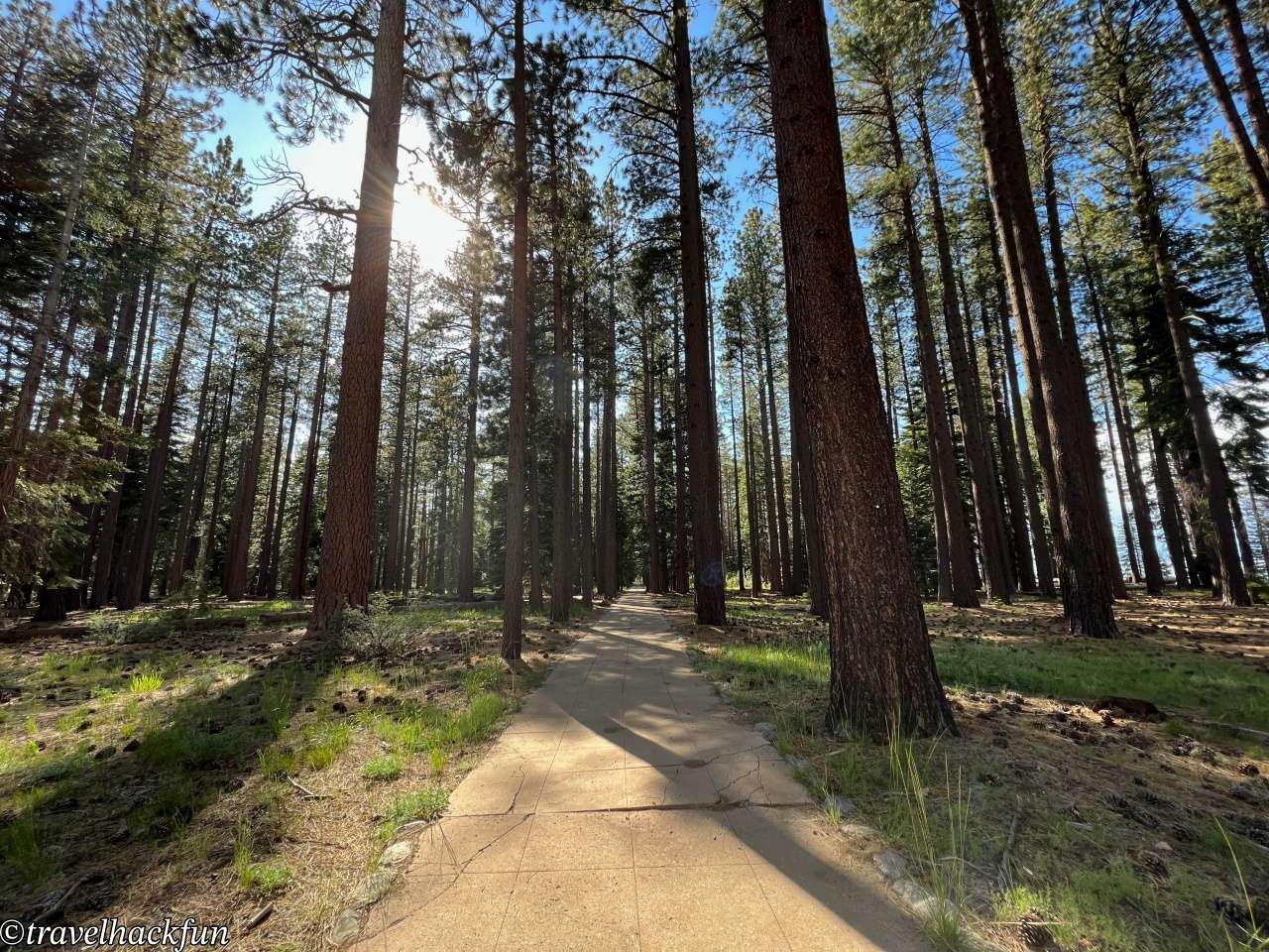 【South Lake Tahoe Scenic Spot】Tallac Historic Site | Lake Tahoe South Shore Centennial Manor Pope・Baldwin・Valhalla Full Analysis 25 tallac historic site 24