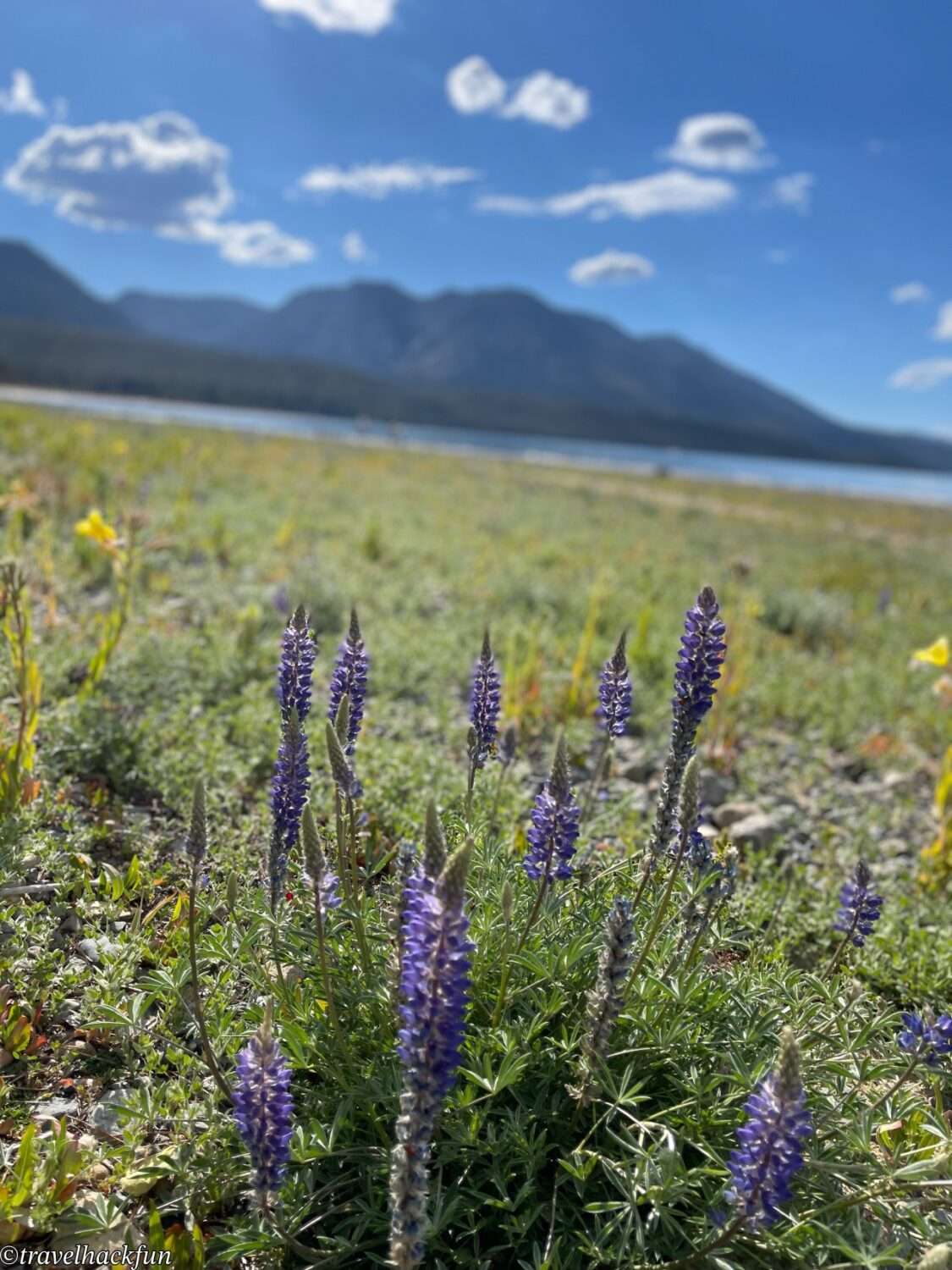 【South Lake Tahoe Scenic Spot】Tallac Historic Site | Lake Tahoe South Shore Centennial Manor Pope・Baldwin・Valhalla Full Analysis 34 tallac historic site 33