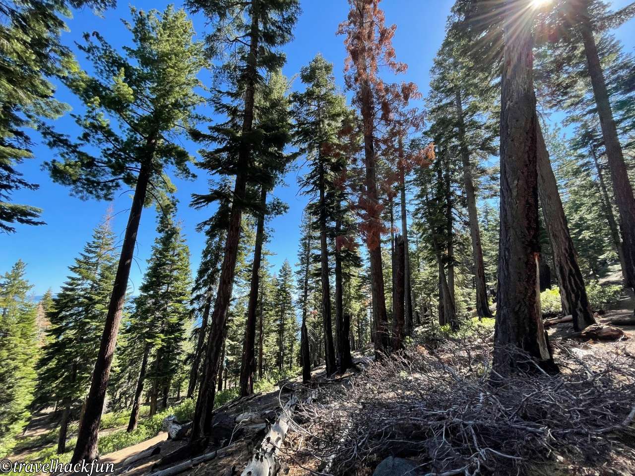 【太浩湖旅遊全攻略】Lake Tahoe 南岸北岸怎麼玩?三天兩夜行程路線+景點總整理 15 Lake Tahoe,太浩湖 15
