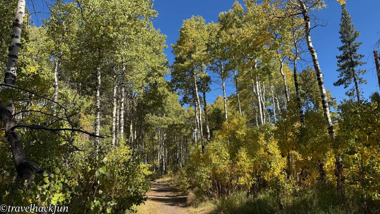 【太浩湖旅遊全攻略】Lake Tahoe 南岸北岸怎麼玩?三天兩夜行程路線+景點總整理 40 Lake Tahoe,太浩湖 40