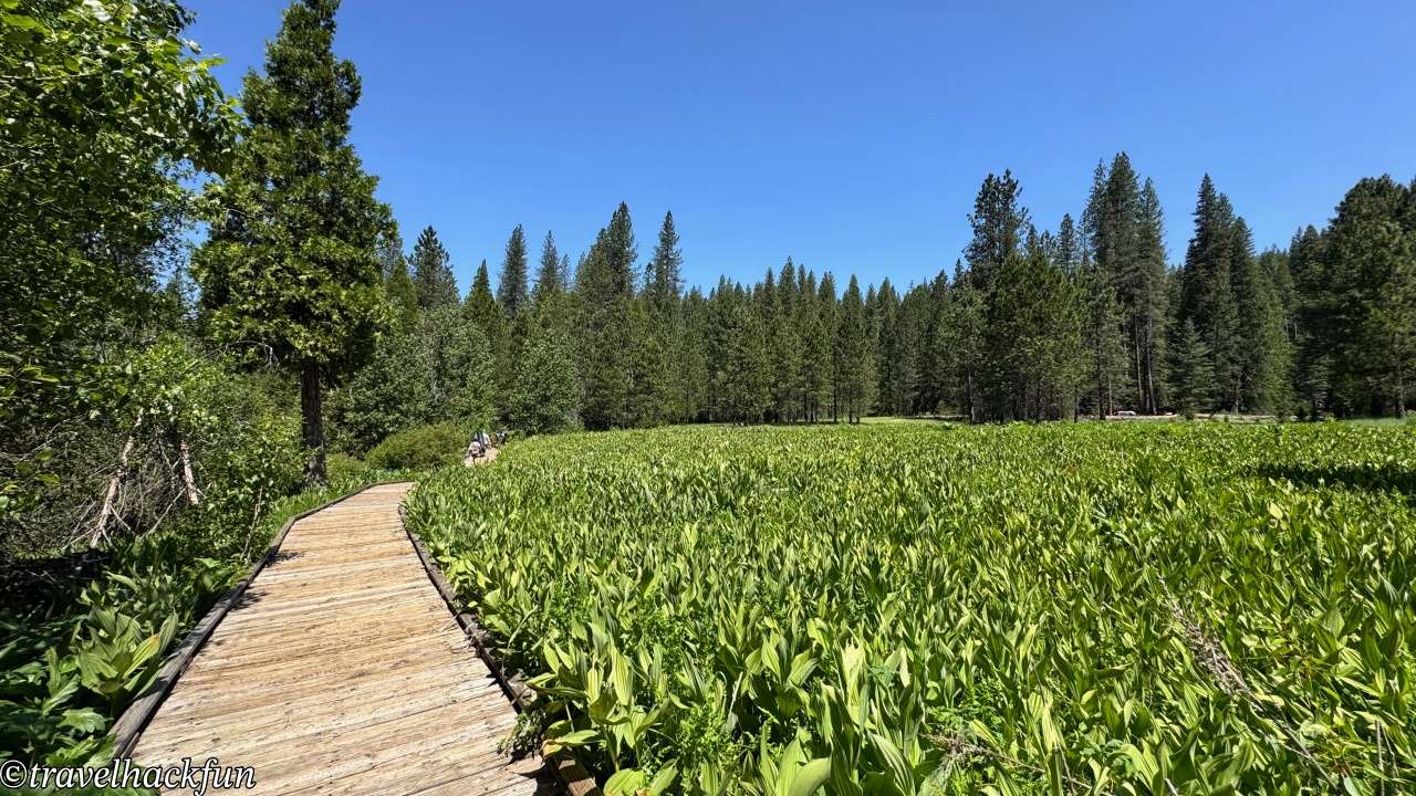 Sierra Nevada秘境】Pipi Campground | Sacramento Departure 2hrs 7mins Pipi campground 6