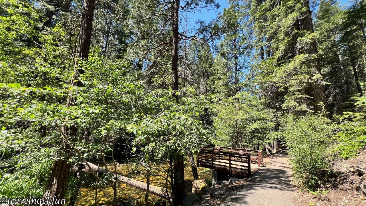 Sierra Nevada秘境】Pipi Campground | Sacramento Departure 2hrs 8mins Pipi campground 7