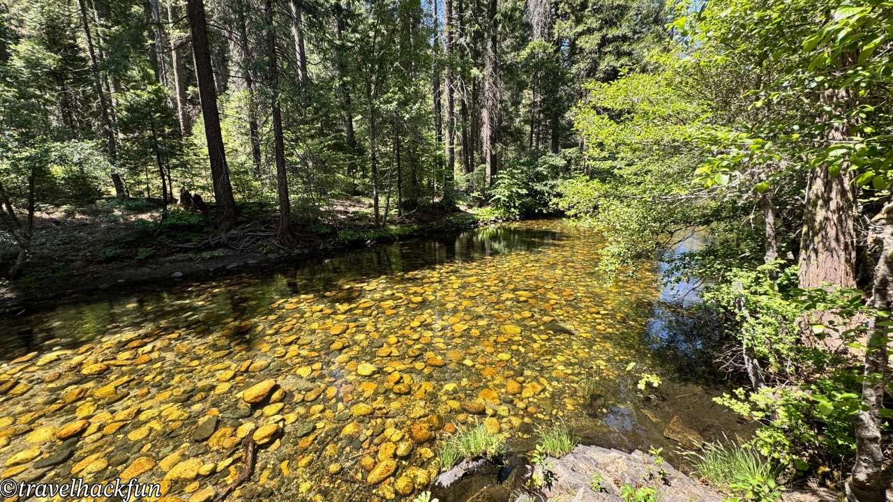 Sierra Nevada秘境】Pipi Campground | Sacramento Departure 2hrs 11 Pipi campground 10