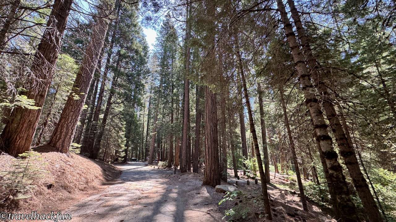Sierra Nevada秘境】Pipi Campground | Sacramento Departure 2hrs 15mins Pipi campground 14